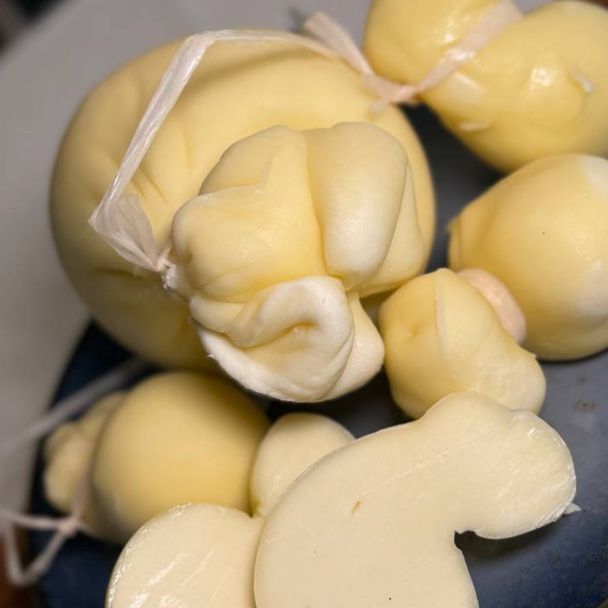 Formaggi di Vacca Pucci