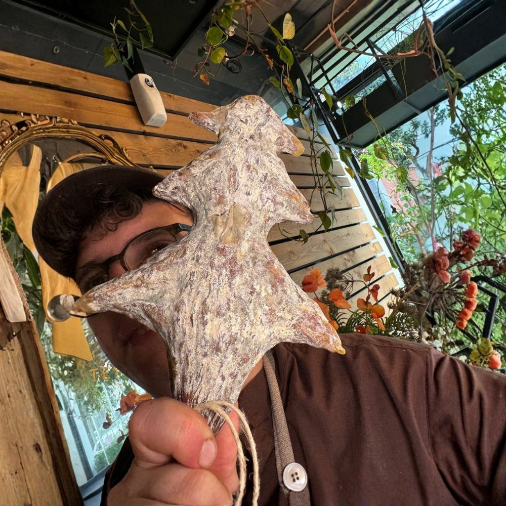 Alberello di Natale - Salame Tradizionale Bonacello