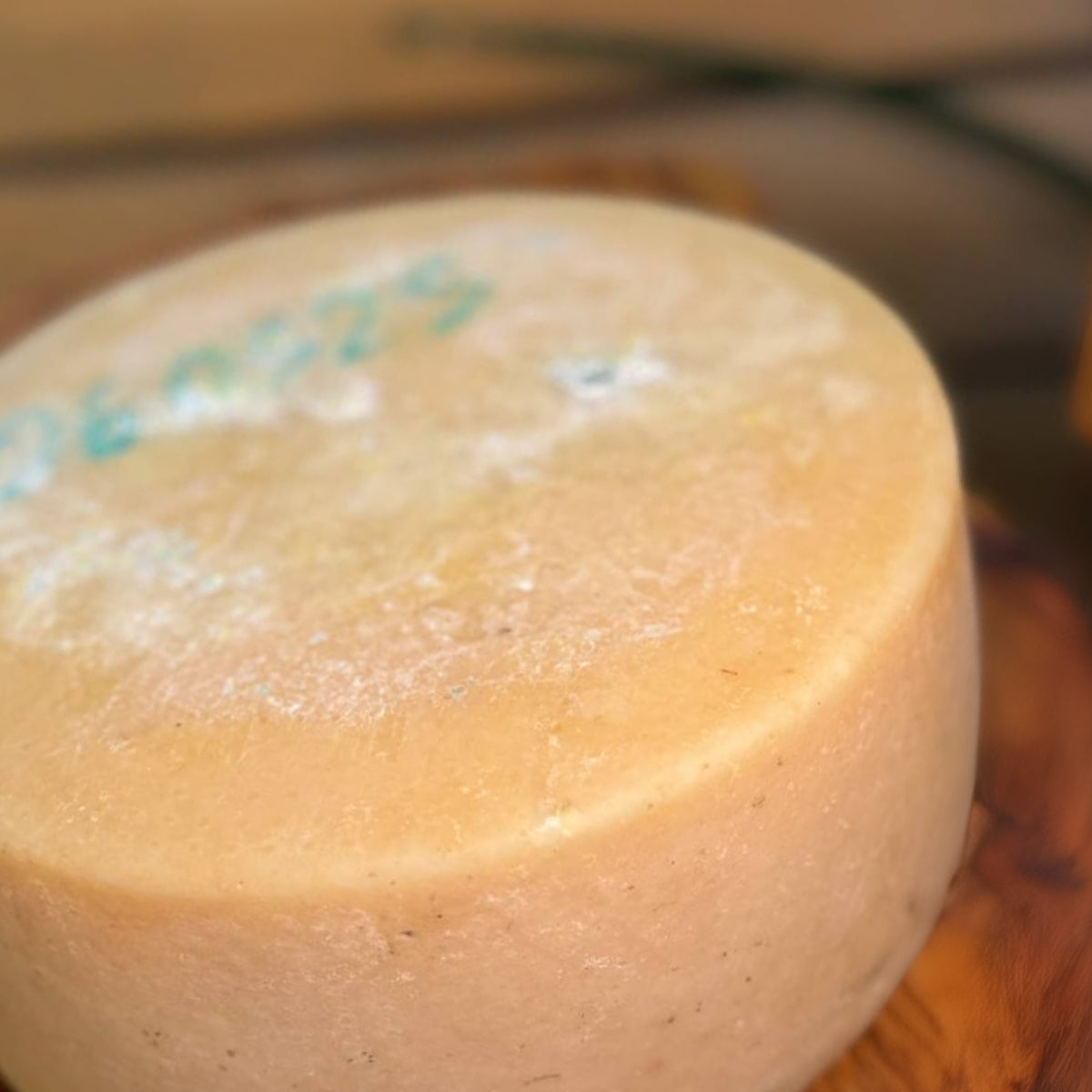 Pecorino Fresco Pucci