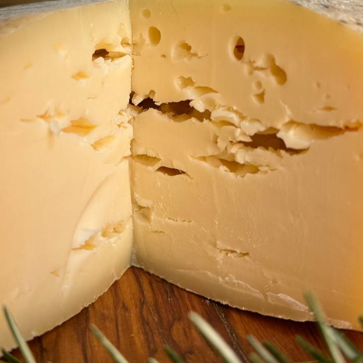 Massetano Giovane