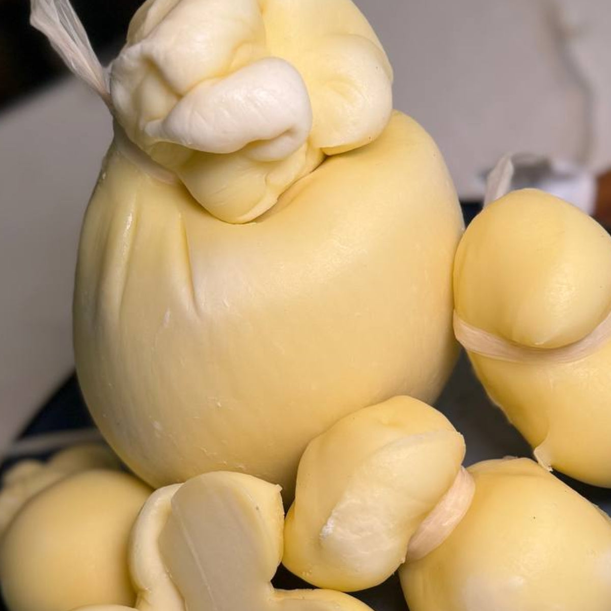 La scamorza dolce di Pucci