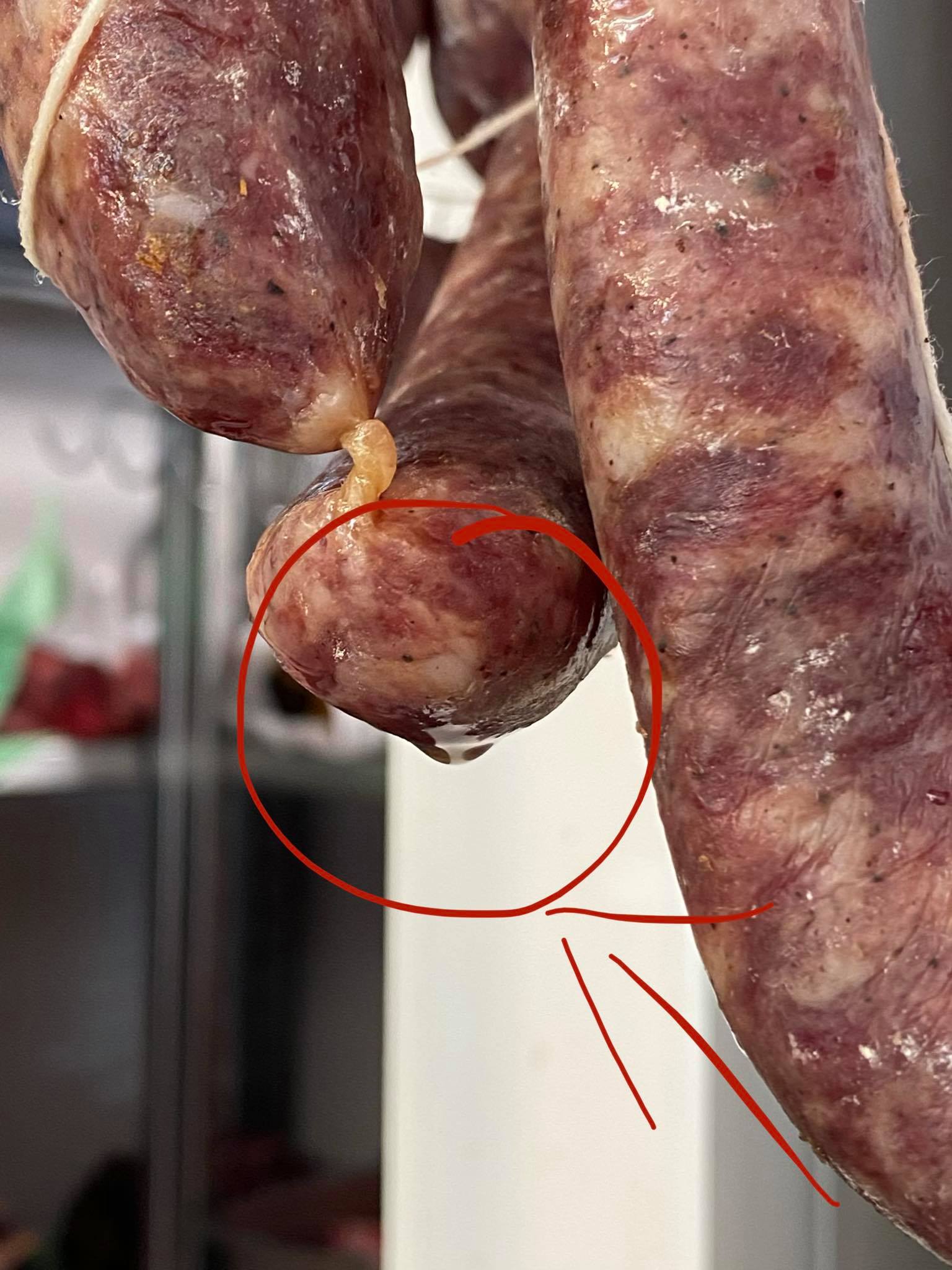 Budello Per Salsicce Naturale Di Maiale - Diametro 50 Mm, Lunghezza 8 M, Per Salsicce Fatte In Casa